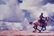 Untitled (cowboy), 1980-1989 by Richard Prince